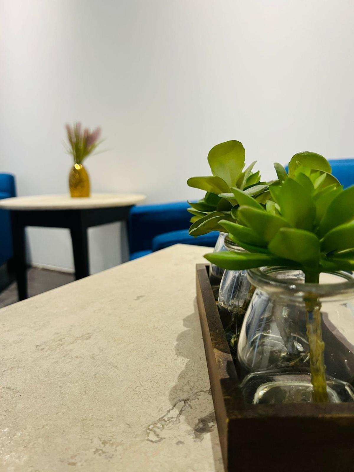 Qa Hotel San Luis Potosí Zewnętrze zdjęcie