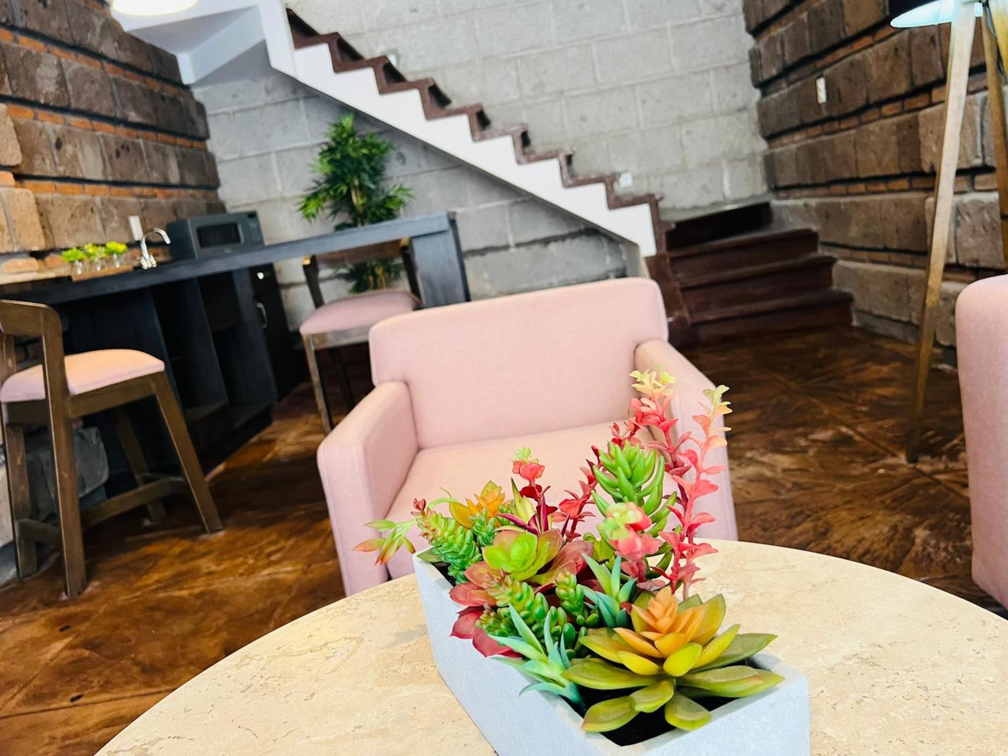 Qa Hotel San Luis Potosí Zewnętrze zdjęcie