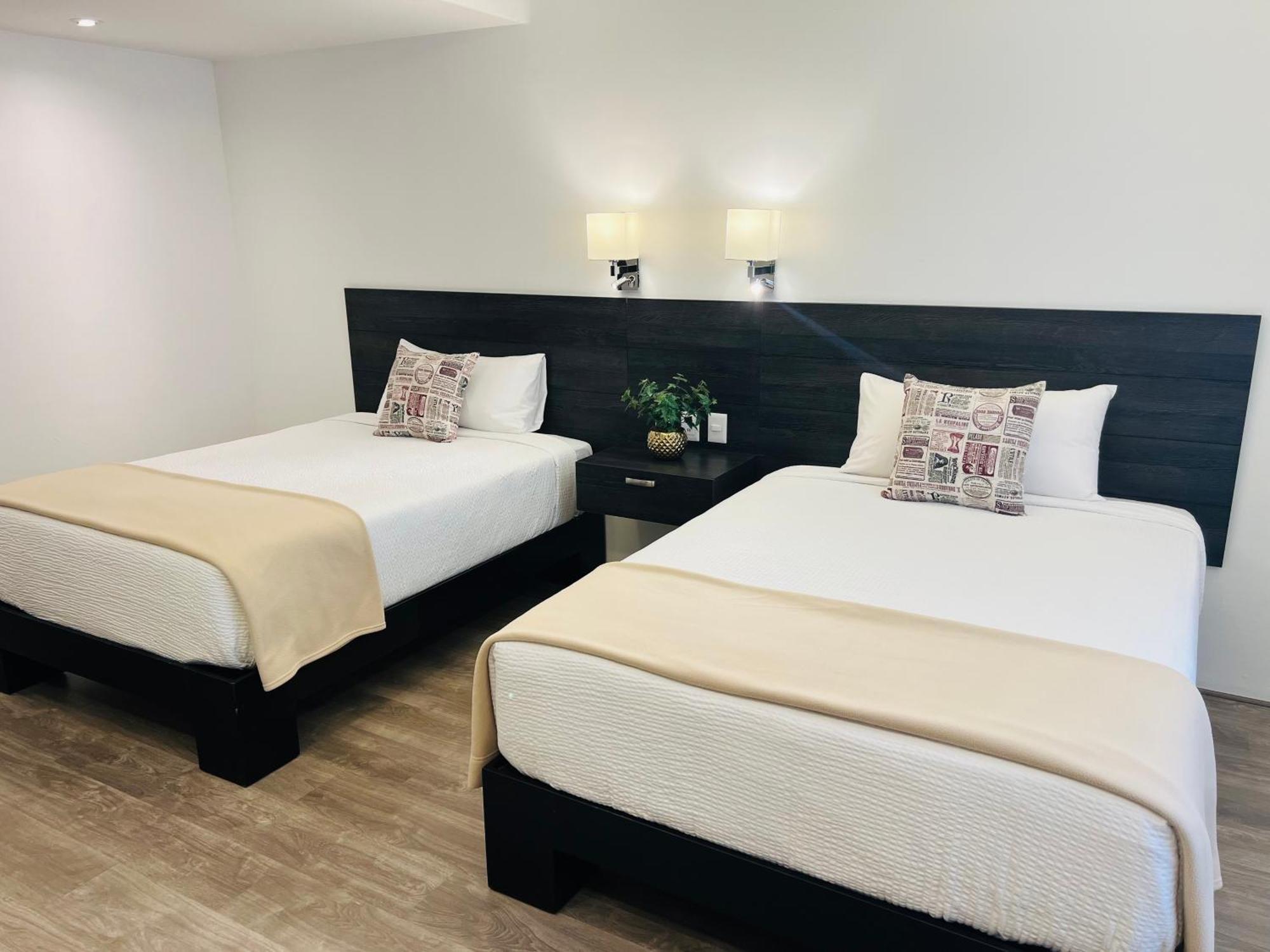 Qa Hotel San Luis Potosí Zewnętrze zdjęcie