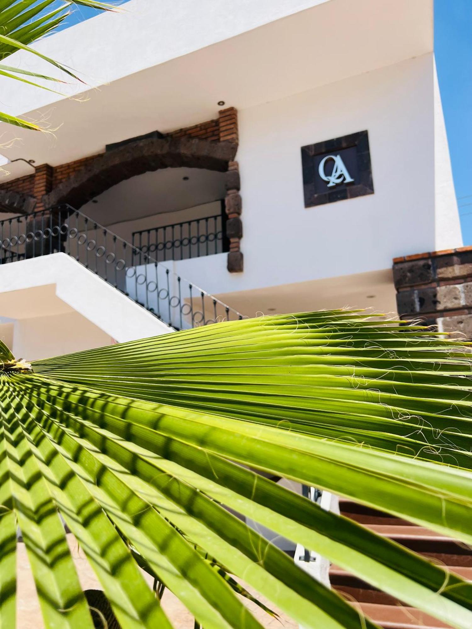 Qa Hotel San Luis Potosí Zewnętrze zdjęcie