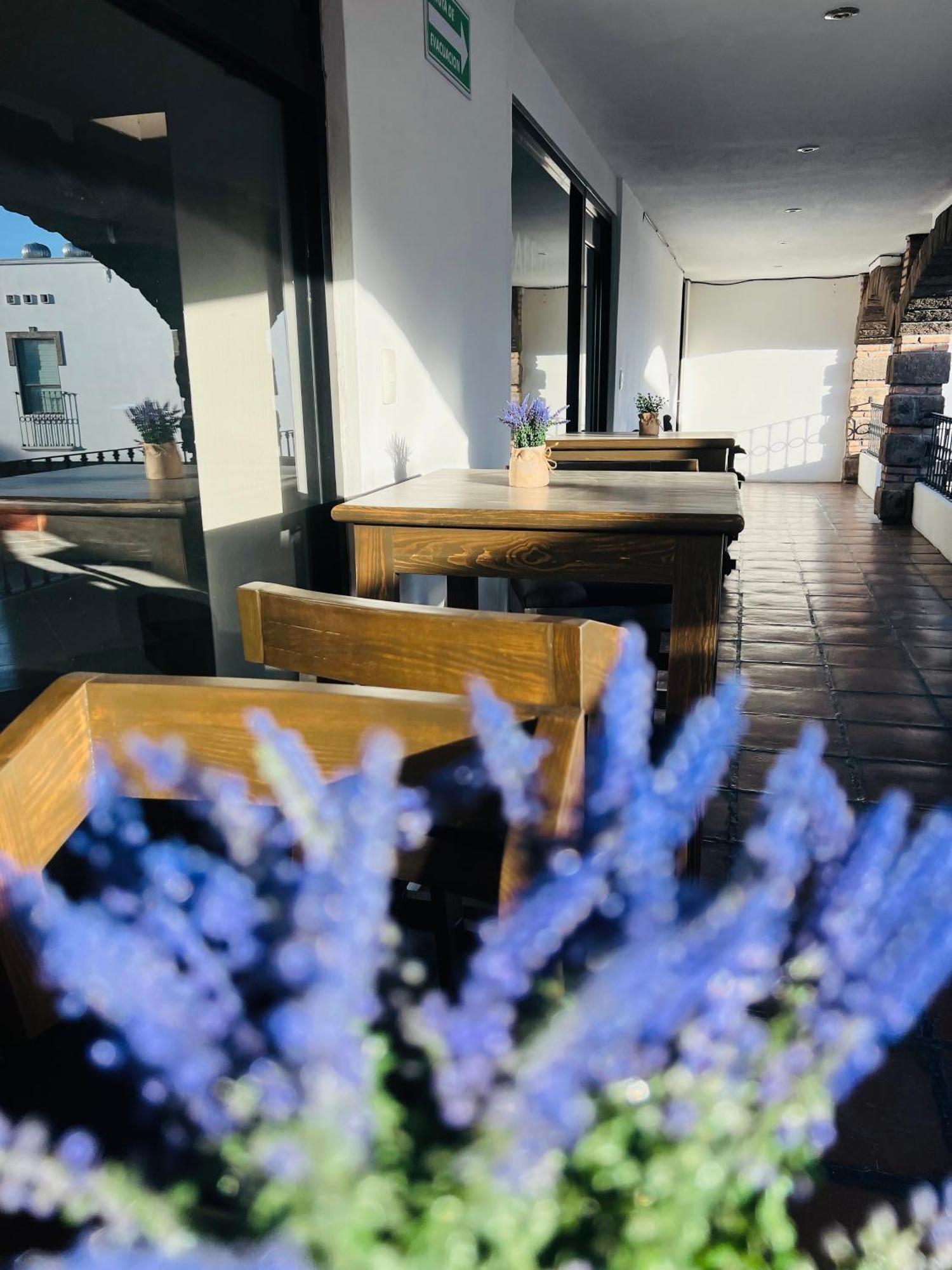 Qa Hotel San Luis Potosí Zewnętrze zdjęcie